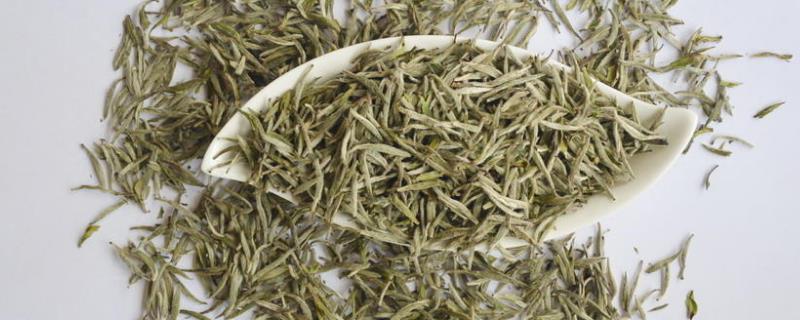 如何冲泡白茶？介绍白茶的冲泡方法