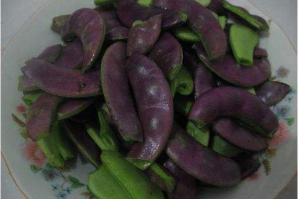 扁豆种子价格及种植方法