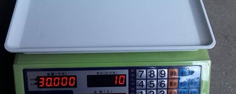 什么是广东廉江市特产