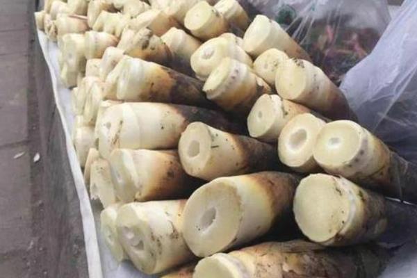 春笋不能和什么一起吃？春笋的营养价值和食用禁忌