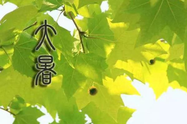 大暑节气的气候特点是什么？大暑养生吃什么好