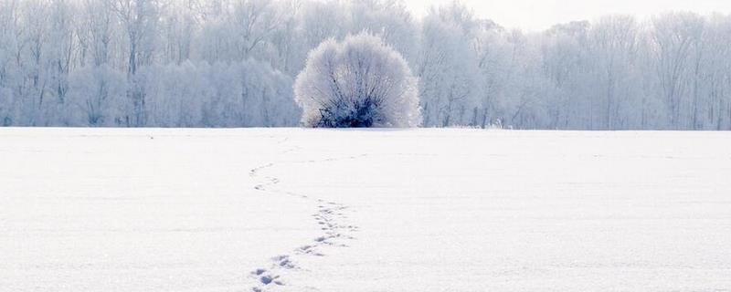 大雪节气是什么意思？有什么习俗