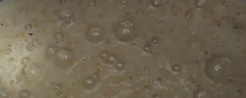 如何制作菌种母种
