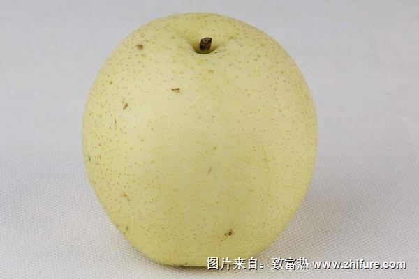 一株梨苗多少钱？如何购买