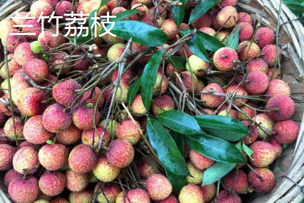 什么是番鬼荔枝?怎么吃?有什么效果