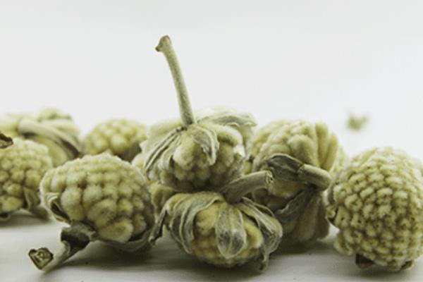 怎样施肥才好
