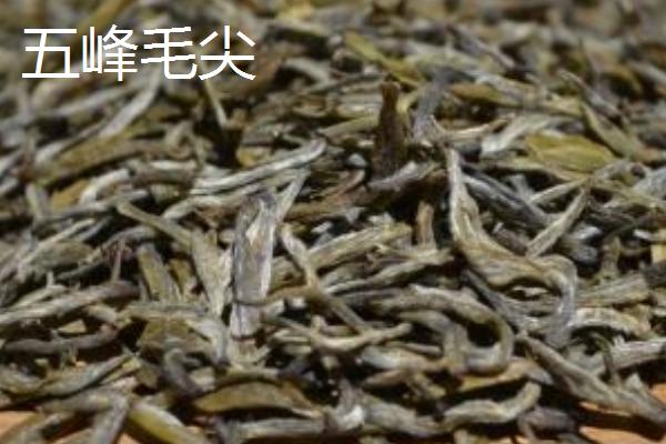 毛峰与毛尖的区别