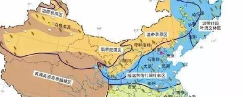 什么是云南省泸水市的特产