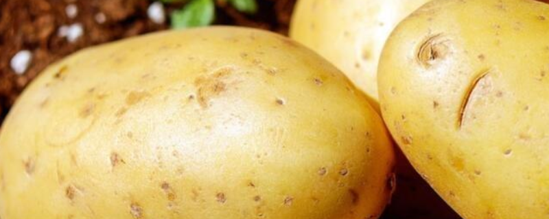 一斤土豆多少钱