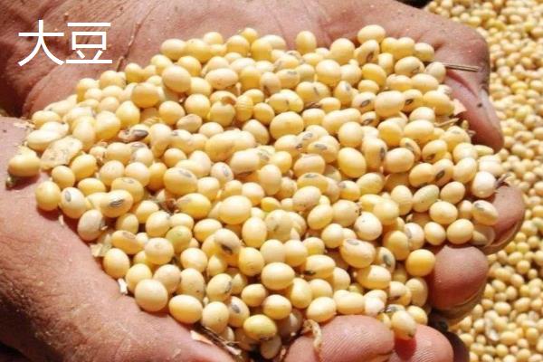 五谷杂粮包括哪些粮食？营养价值是什么